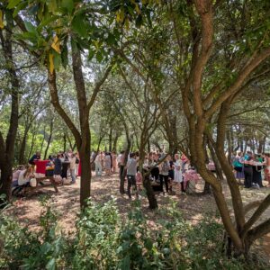 Pique-nique des Cabanes (16€/personne)